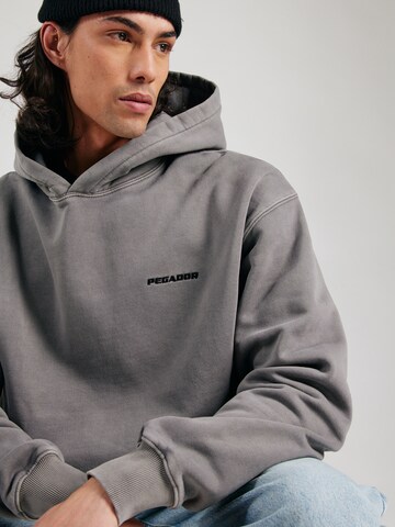 Pegador Sweatshirt in Grau