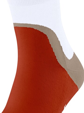 FALKE Socks 'Run Special Edition' in Grey