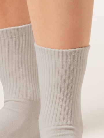 CALZEDONIA Socks in Beige
