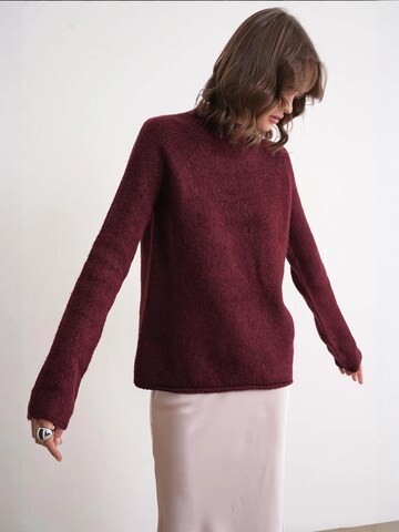 Pullover 'Pullover' di MixRay in rosso