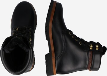 PANAMA JACK Lace-Up Ankle Boots in Black