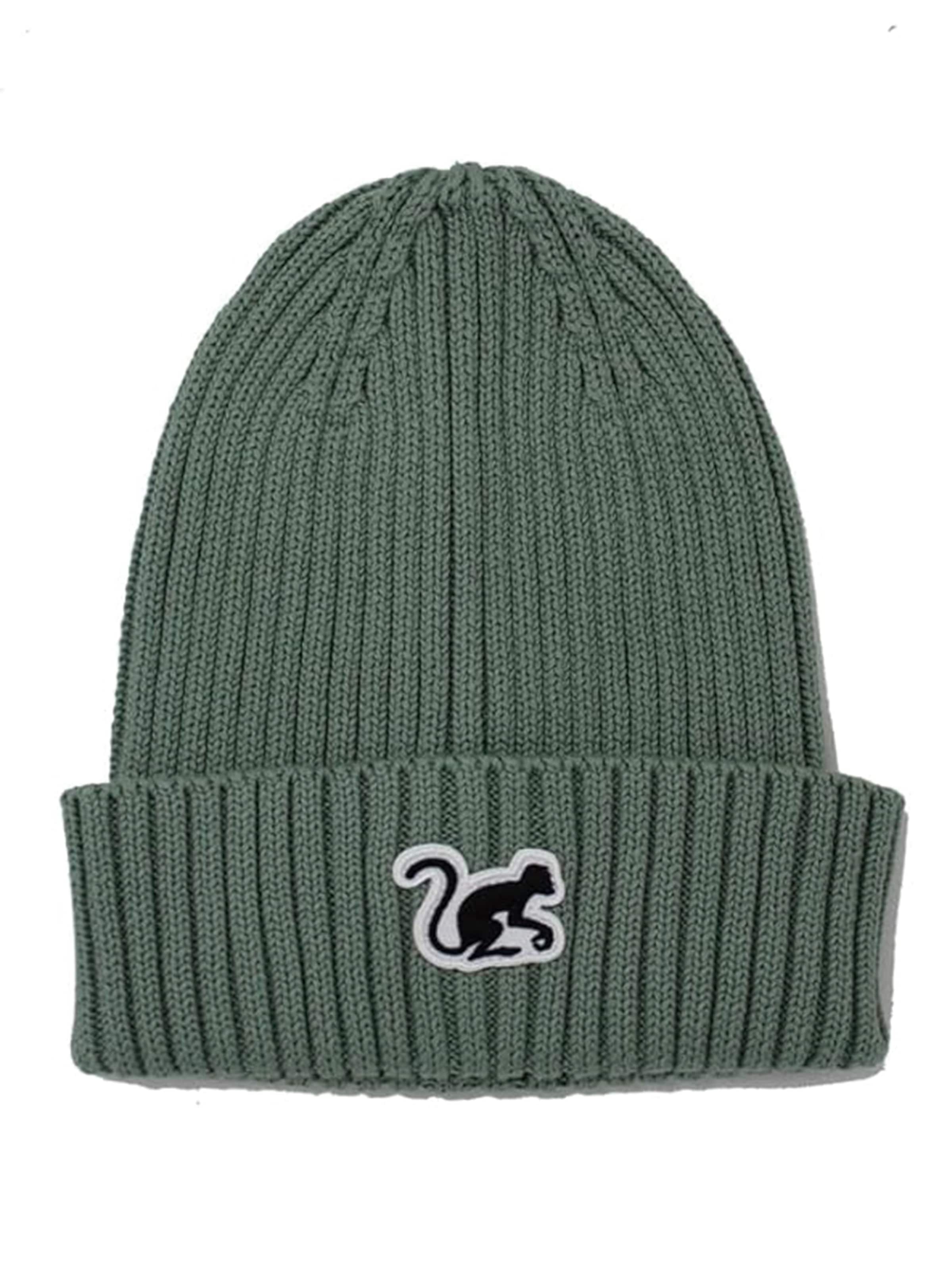 Surf Monkey Beanie in Green: front