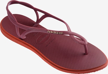 HAVAIANAS Žabky 'LUNA POINT' – červená: přední strana