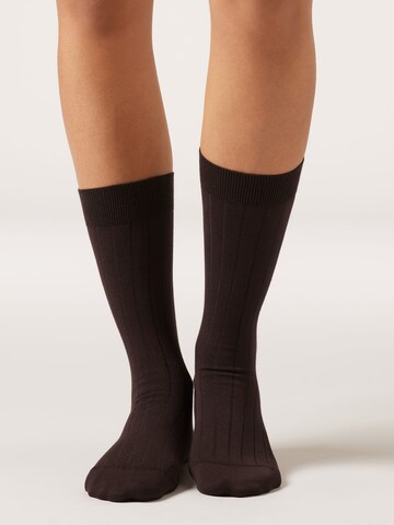 CALZEDONIA Socks in Brown: front