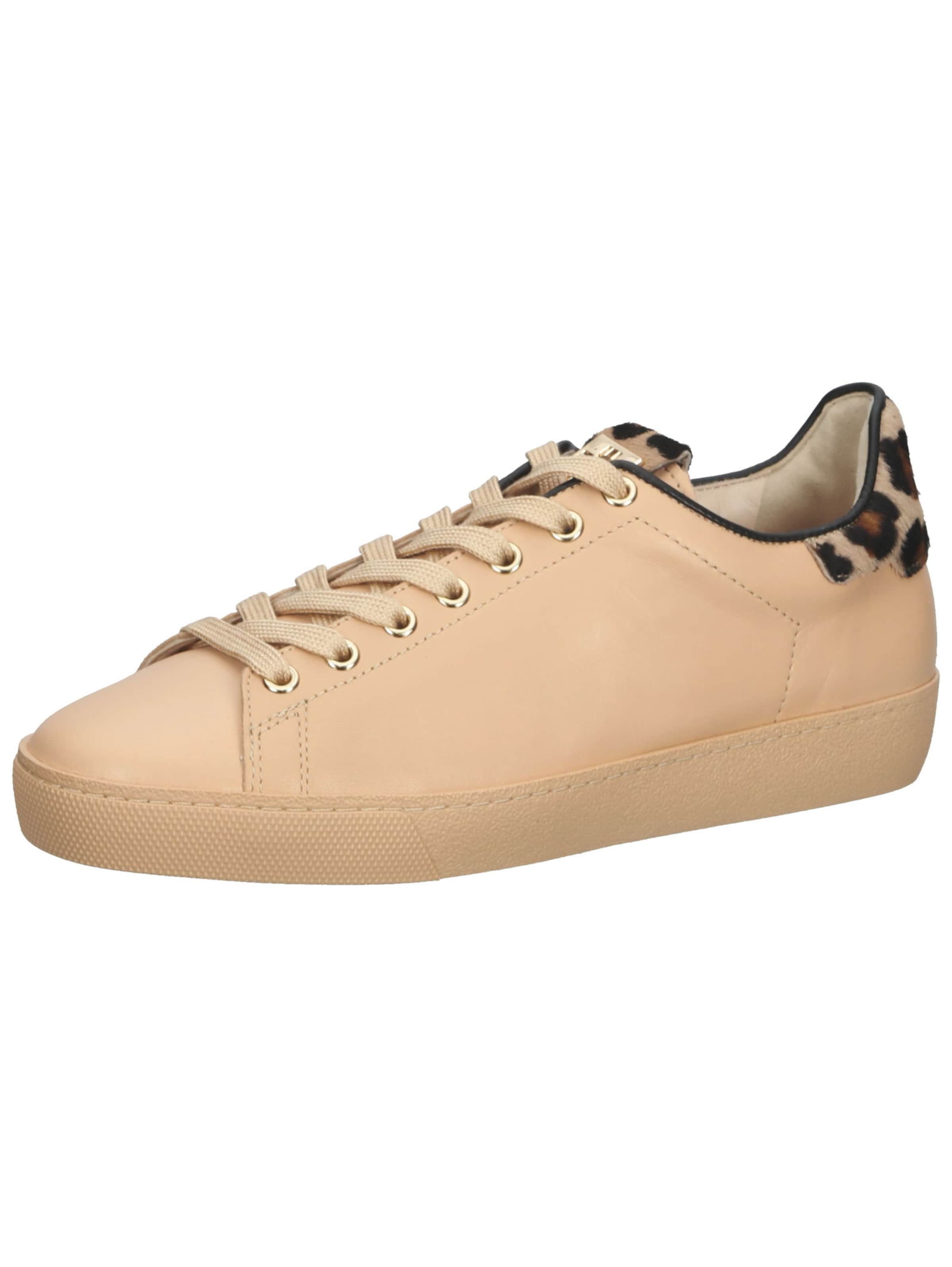 Frauen Sneaker Högl Sneaker in Beige - GG61281 Frauen Sneaker Högl Sneaker in Beige - GG61281