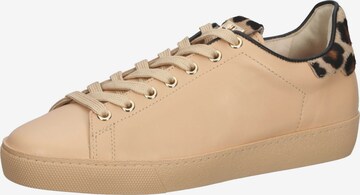 Högl Sneaker in Beige: predná strana