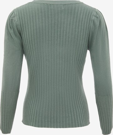 leo selection Pullover in Grün