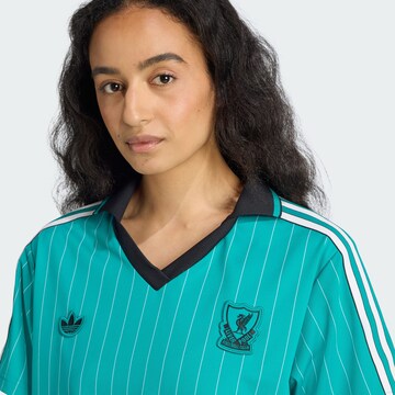 Robe 'FC Liverpool Terrace Icons' ADIDAS ORIGINALS en vert