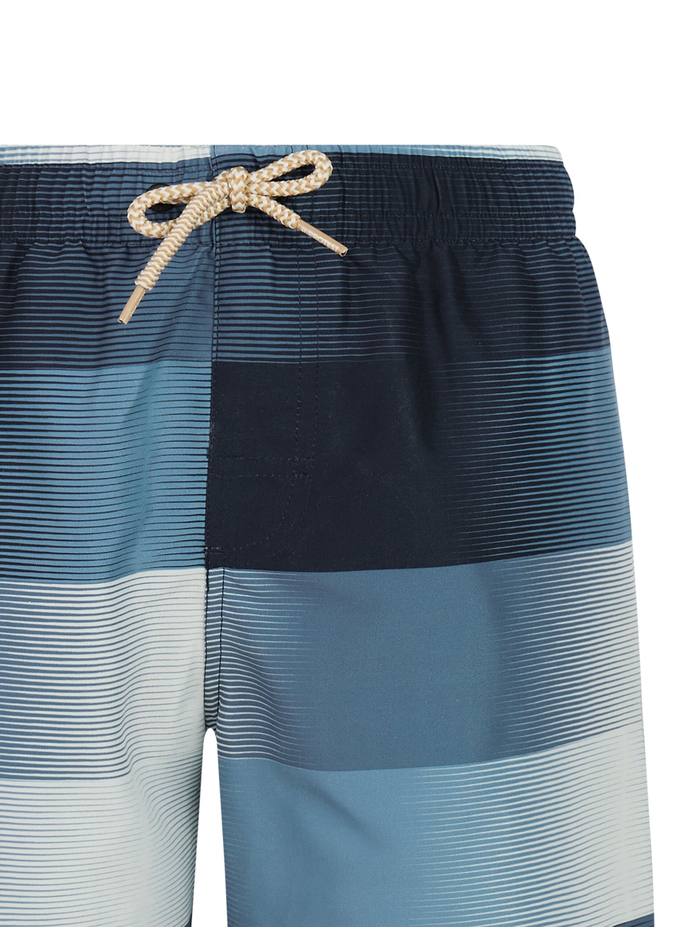 PROTEST Board Shorts 'PRTJames JR' in Blue