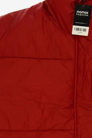 Abercrombie & Fitch Weste XL in Rot