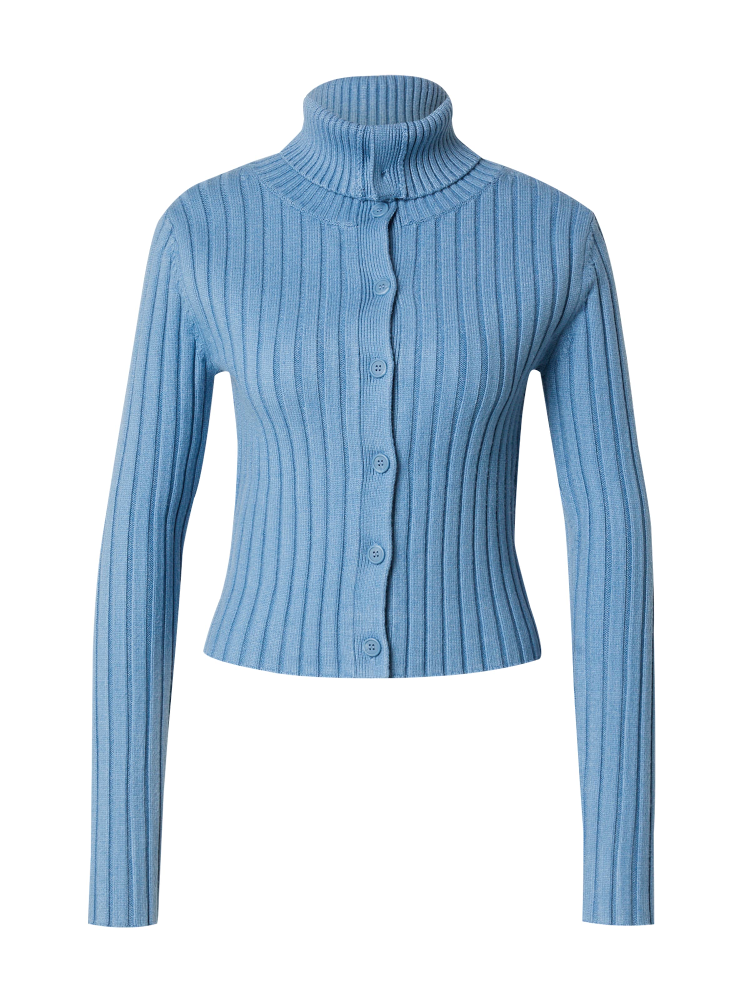 mėlyna WEEKDAY Kardiganas: priekis