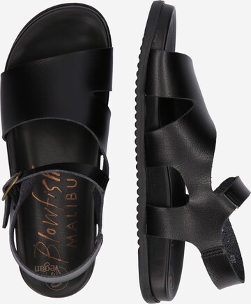 Blowfish Malibu - Sandalias 'CRISEN' en negro