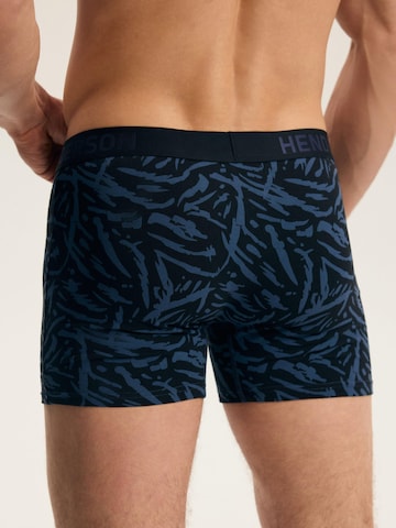 Boxer di Henderson in colori misti