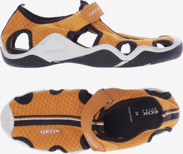 GEOX Sandalen 38 in Orange: predná strana