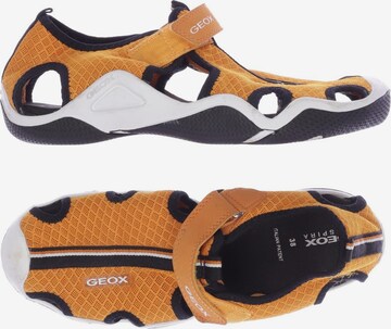 GEOX Sandals & Slippers in 38 in Orange: front