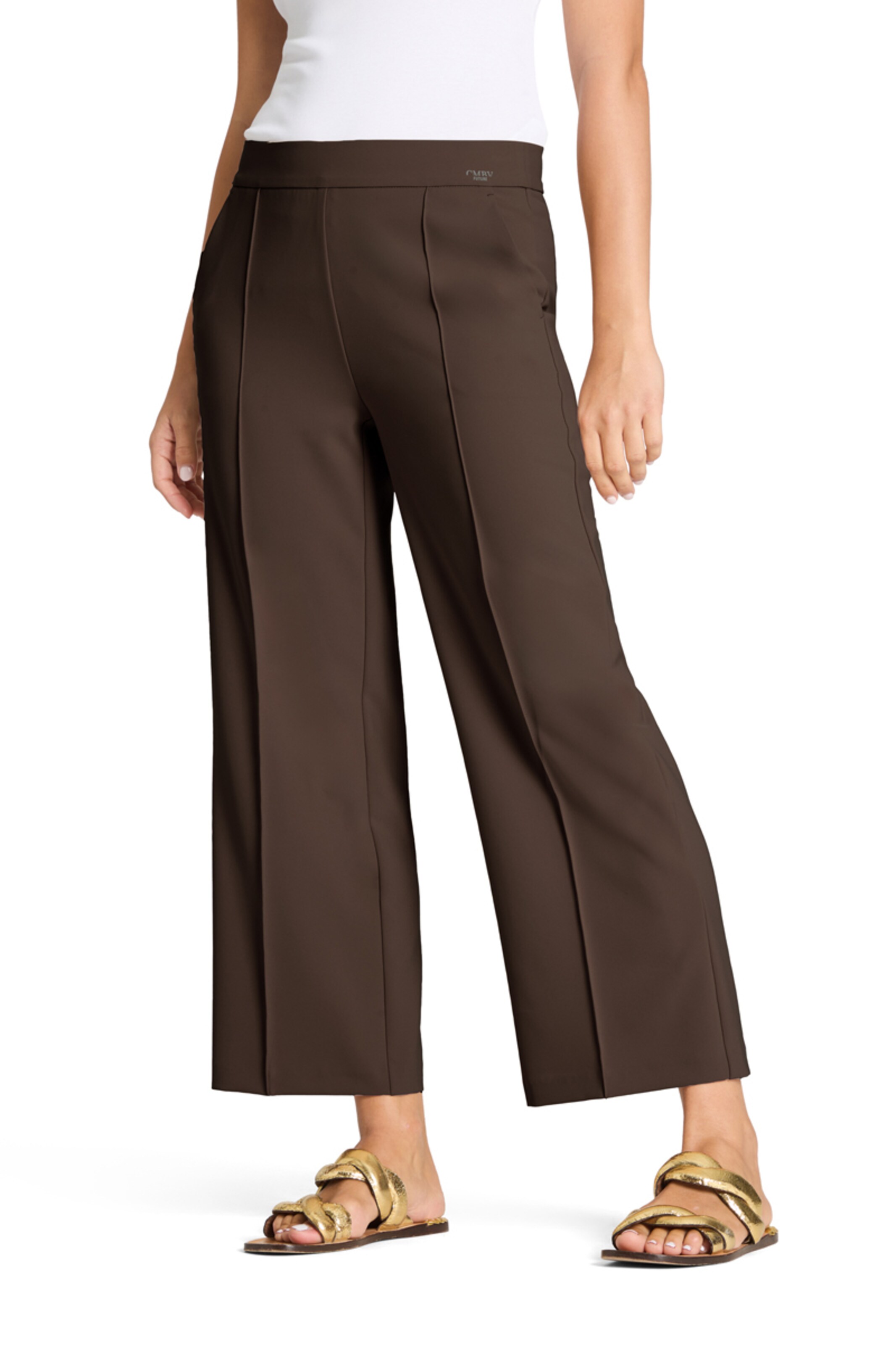 Regular Pantalon à pince ' Cameron ' Cambio en marron