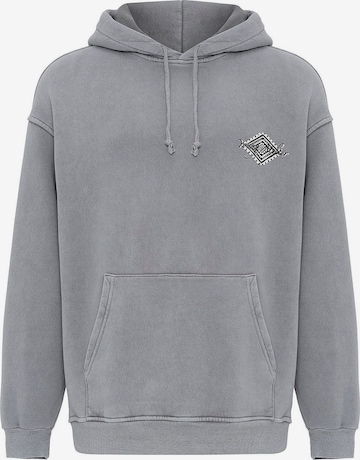Felpa di Dandalo in grigio: frontale