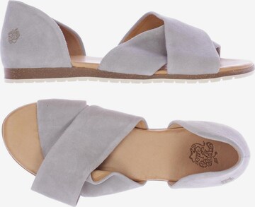 Apple of Eden Sandals & High-Heeled Sandals in 38 in Grey: front
