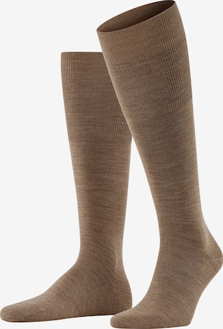 FALKE Knee High Socks 'Airport' in Brown: front