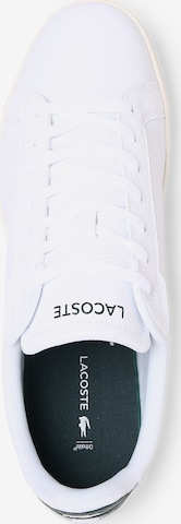 Sneaker bassa di LACOSTE in bianco