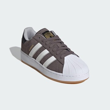 ADIDAS ORIGINALS Sneakers 'Superstar' in Brown