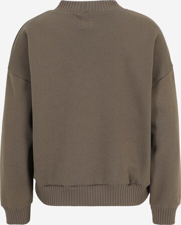 Gap Petite Sweatshirt 'FRANCHISE' in Braun