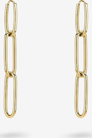 Liebeskind Berlin Ohrringe in Gold: Vorderseite