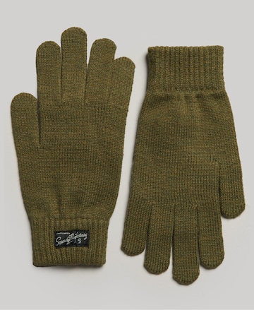 Superdry Full Finger Gloves in Green
