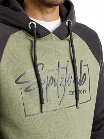 SPITZBUB Sweatshirt 'Raglan Street' in Groen