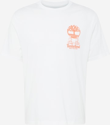 T-Shirt TIMBERLAND en blanc : devant