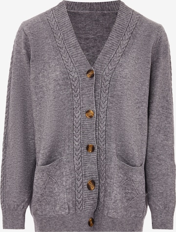 ALARY Gebreid vest in Grijs: voorkant