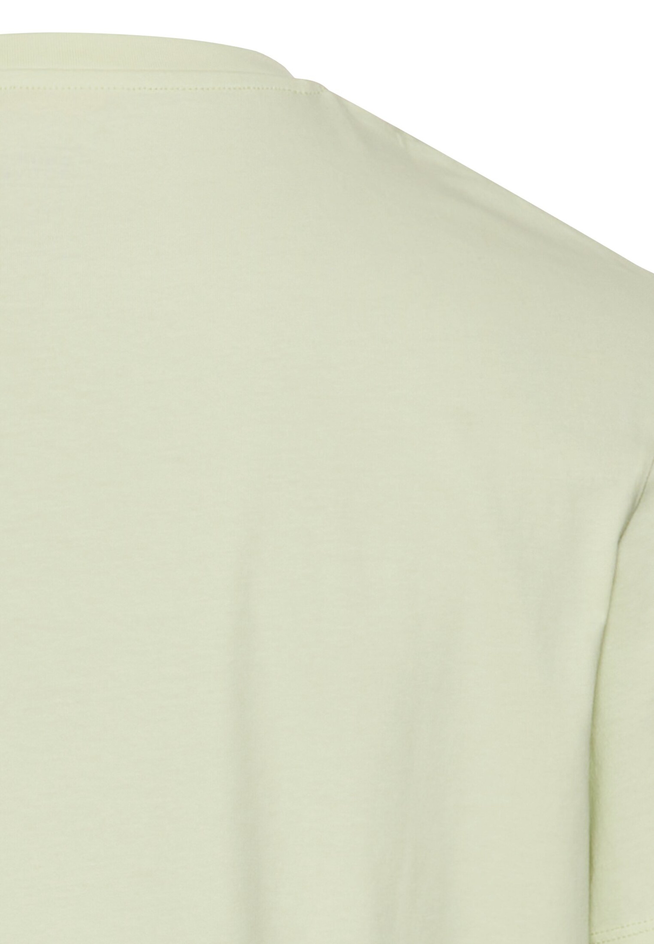 CAMEL ACTIVE Shirt in Green