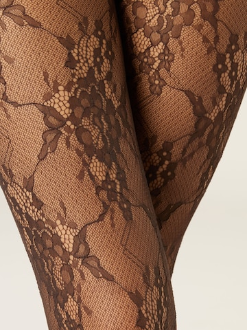 CALZEDONIA Tights in Brown
