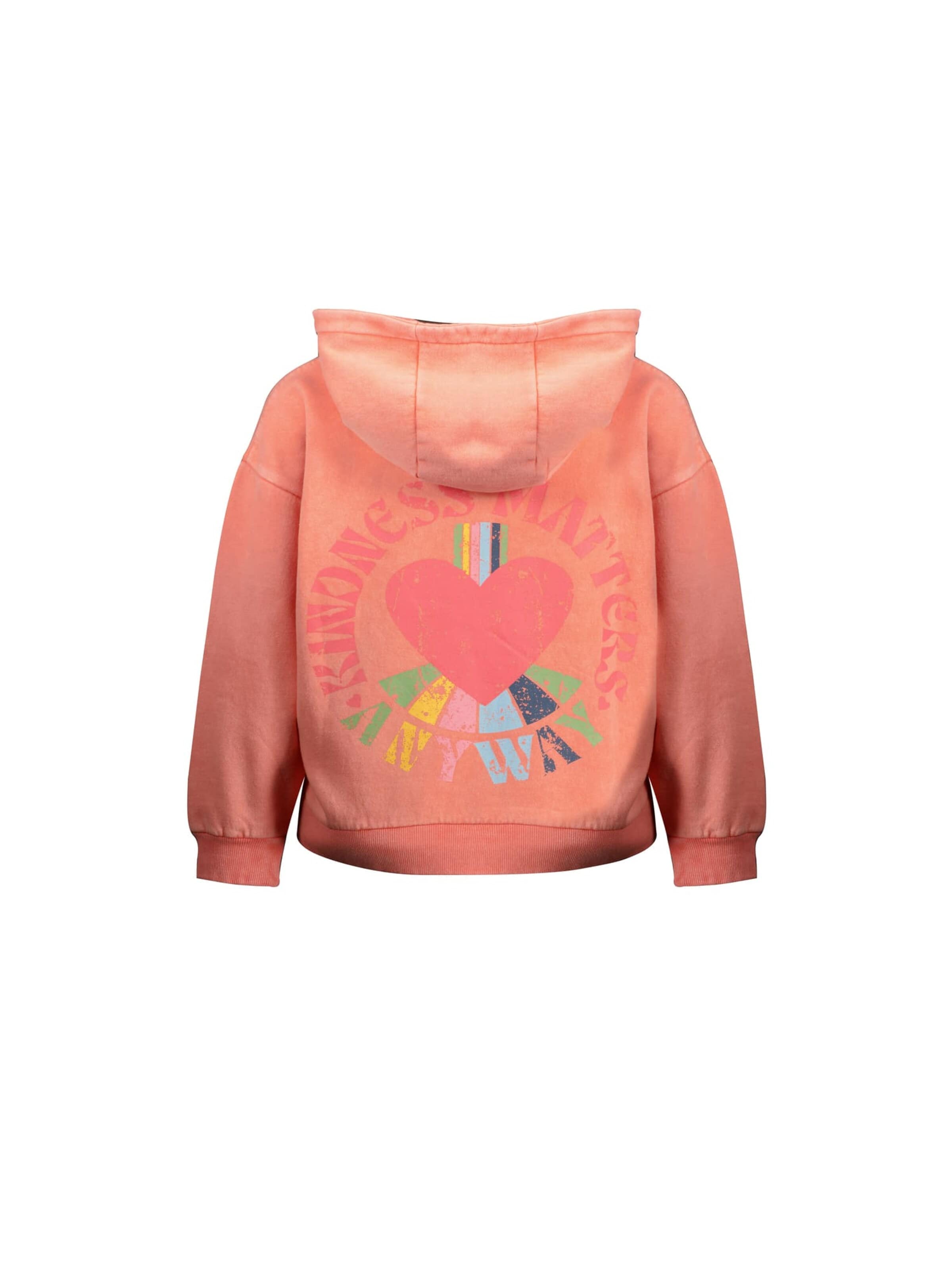 Deeluxe Sweatshirt in Oranje