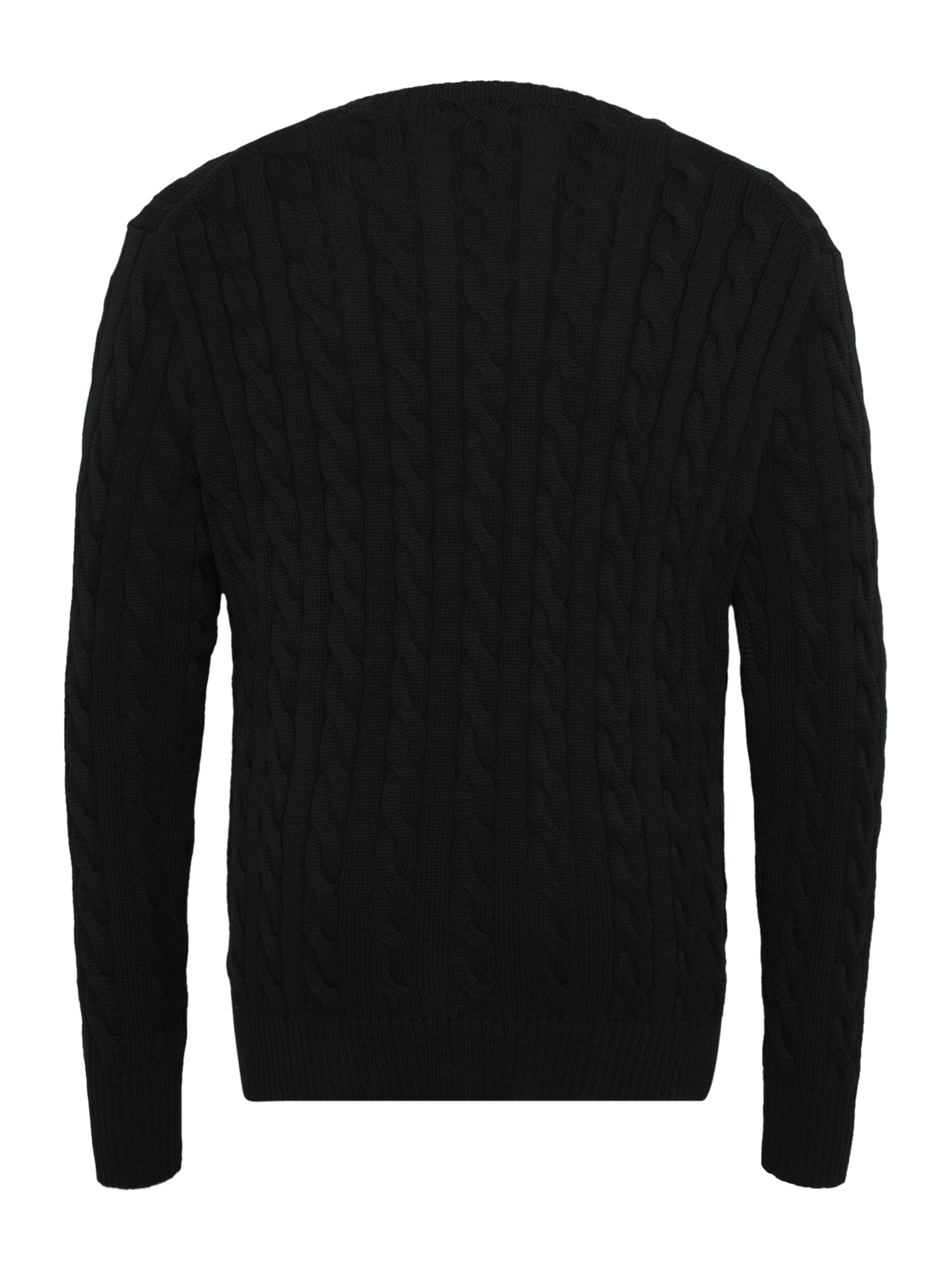 Polo Ralph Lauren Big & Tall Trui 'DRIVER' in Blauw