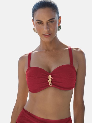 love & roses Push-up Bikini zgornji del | roza barva: sprednja stran