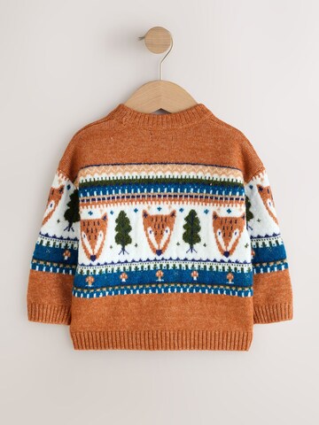 Next Trui in Bruin