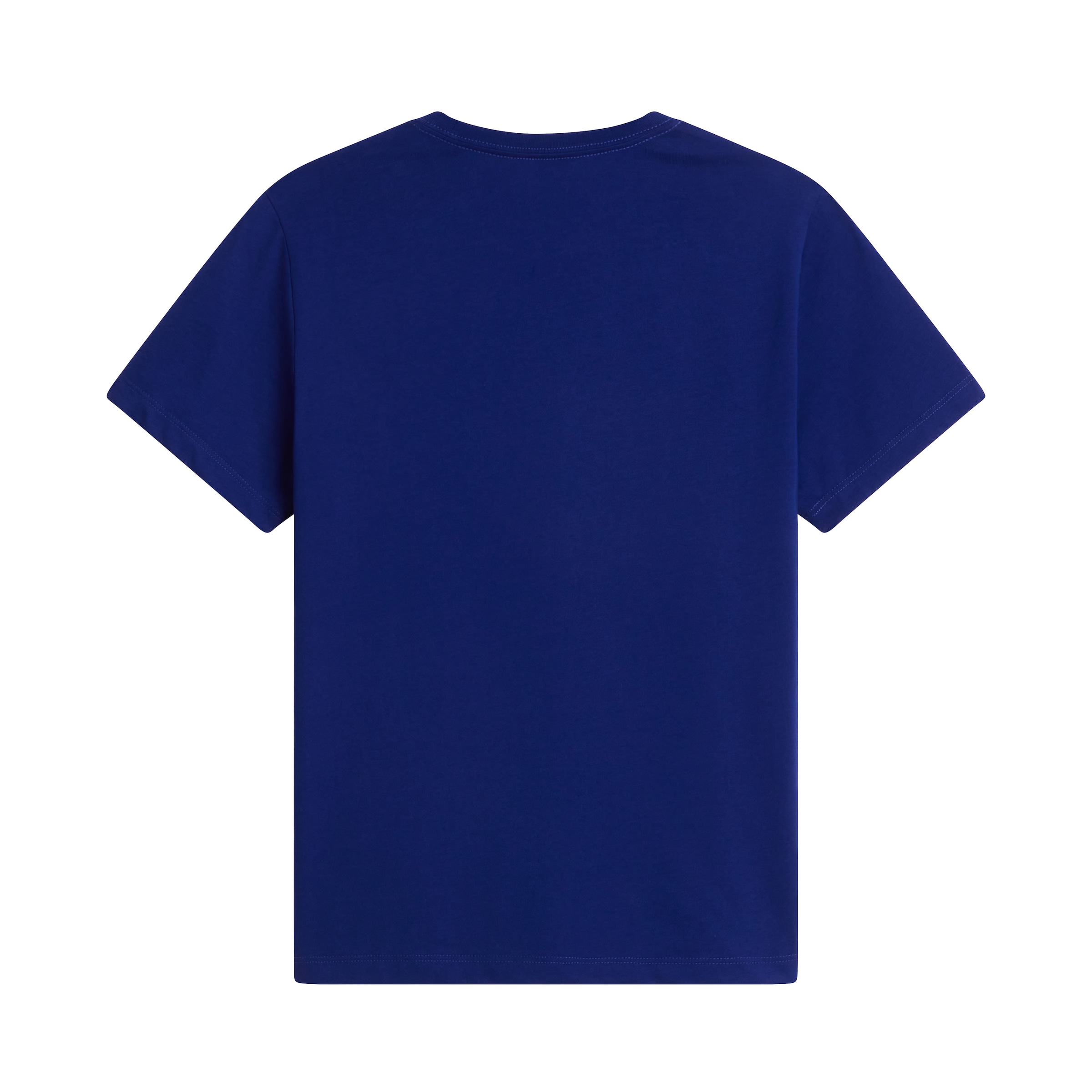 THE NORTH FACE Performance Shirt 'Evolution' in Blue