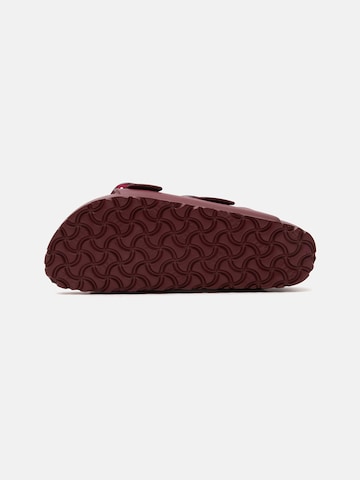 BIRKENSTOCK Plätu 'Arizona', värv punane