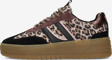 PS Poelman Sneakers 'ANEMONE' in Beige: front