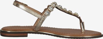 GEOX T-Bar Sandals in Gold