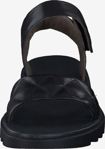 Paul Green Sandals in Black