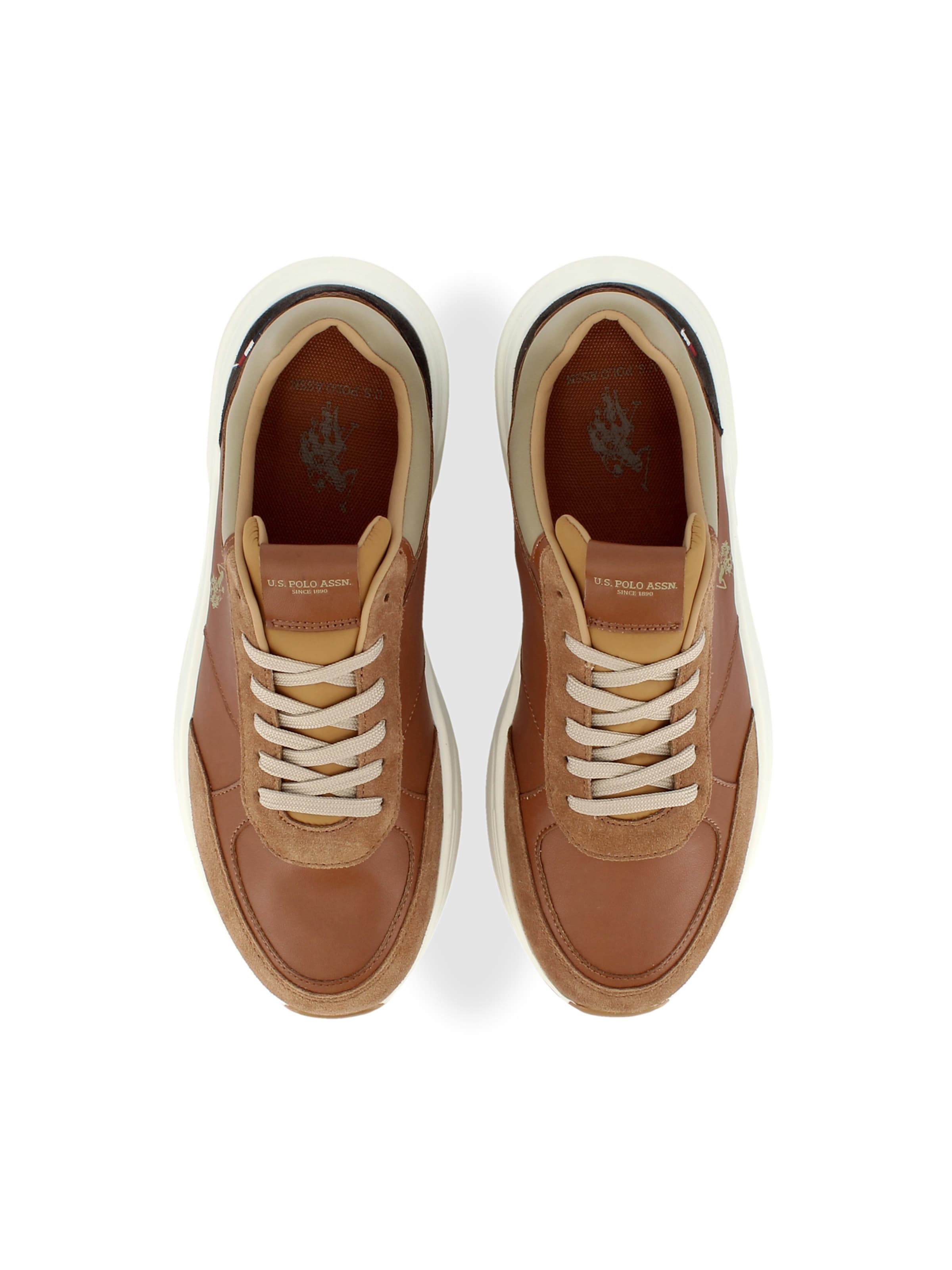 Baskets basses 'Parker' US POLO ASSN. en marron