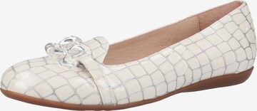 Wonders Ballet Flats in White: front