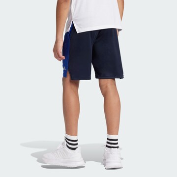 ADIDAS SPORTSWEAR Regular Sporthose in Blau