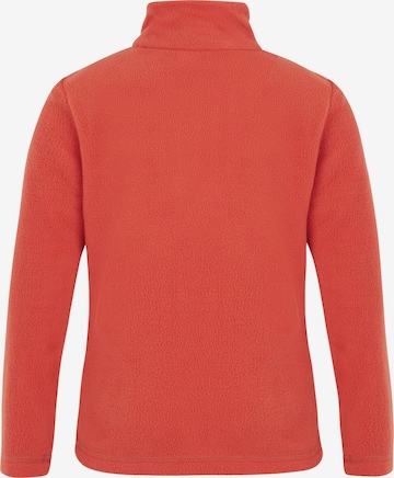 PROTEST Sportsweatshirt 'PRTMUTE TD' in Rot: Vorderseite