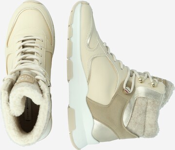 TOMMY HILFIGER - Botines con cordones en beige