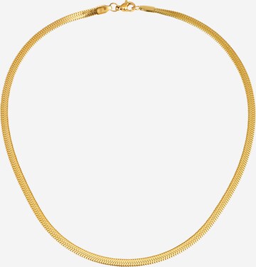 Fräulein Wunder Kette 'Snake' in Gold: predná strana