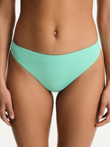 Penti Bikini bottom 'Bikinihosen' in Green: front