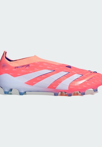 Chaussure de foot 'Predator Elite' ADIDAS PERFORMANCE en orange
